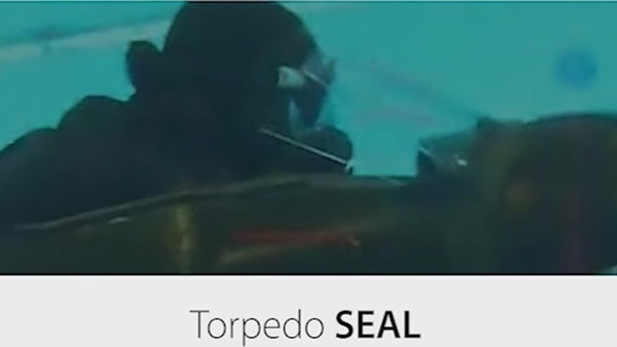 torpedo SEAL.jpg